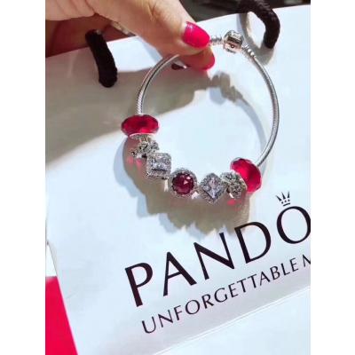Pandora Bracelet 040